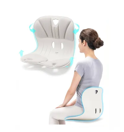 Ergonomic Back Support Chair Lumbar Support for Posture Correction & Back Pain Relief Ideal for Office & Floor Seat